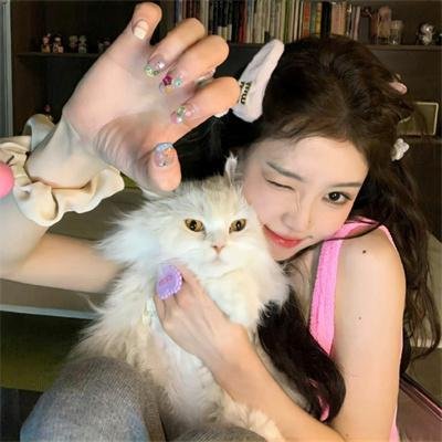 猪法奇缘