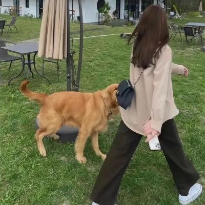 我养了个少年