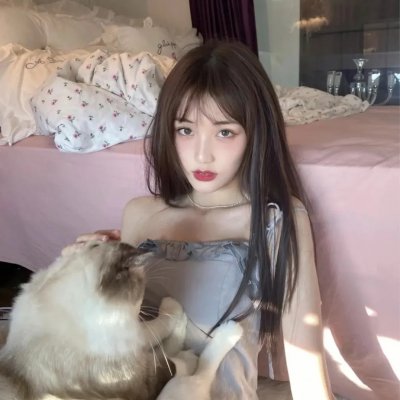 三只流浪猫